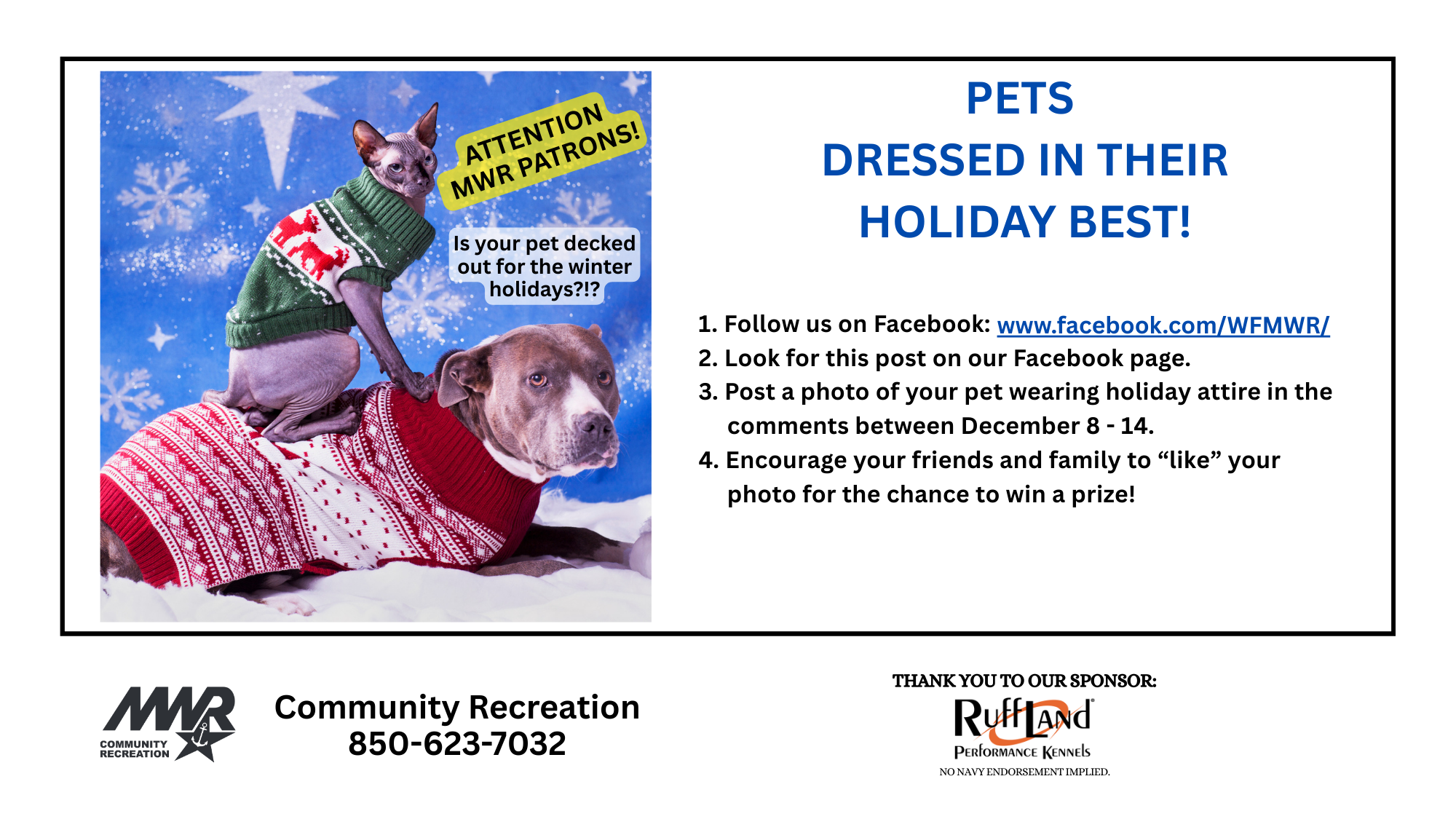 Pets Dressed in their Holiday Best (16 x 9 in).png
